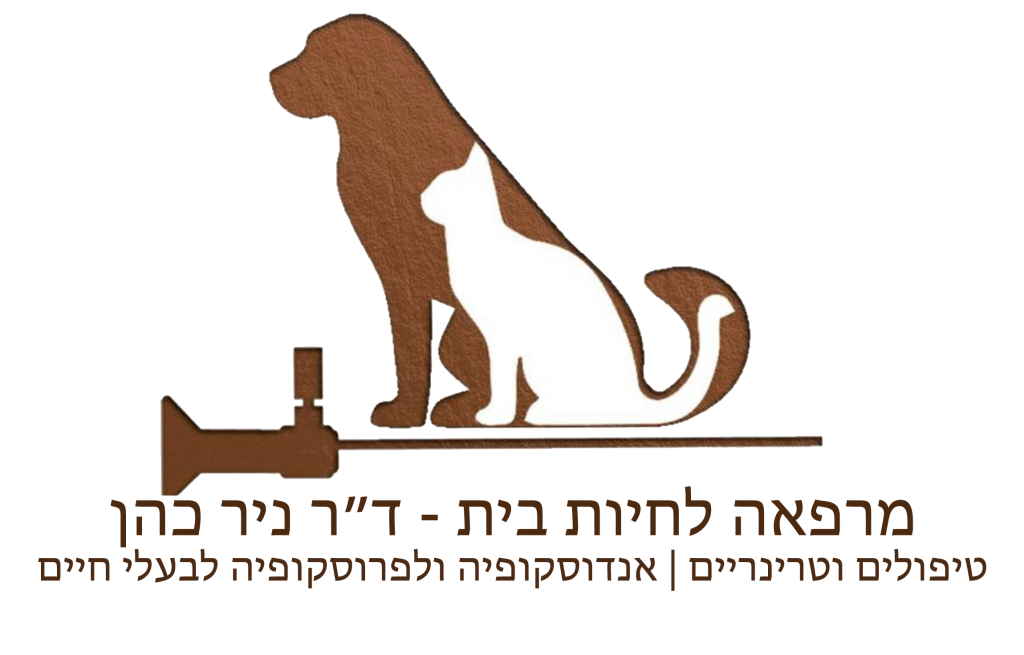 לוגו ניר כהן